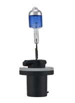 Load image into Gallery viewer, Photo - Close Up
